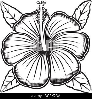 Dessin détaillé en noir et blanc d'une fleur d'hibiscus, mettant en valeur cinq grands pétales texturés avec de fines nuances et des lignes de contour. Au cente Illustration de Vecteur