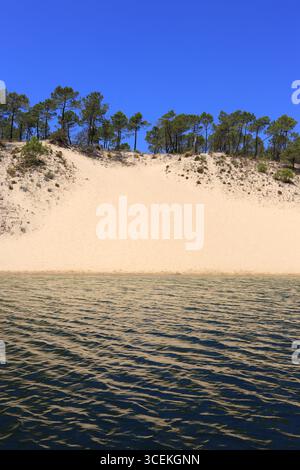 Portugal, Sesimbra, Lagoa de Albufeira lagon côtier alimenté par 3 ruisseaux et l'océan Atlantique. Bordé par une végétation aquatique, des forêts de pins et des dunes. Banque D'Images