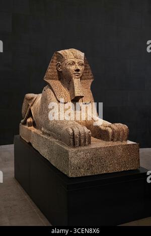 New York - 13 juin 2025 : Sphinx égyptien de Hatshepsout, New Kingdom, vers 1479–1458 av. J.-C.. Ce sphinx colossal représente le pharaon féminin Hatshe Banque D'Images