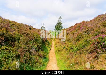 Le chemin étroit des vieux drovers s'élevant à travers Lawrence Field dans le Derbyshire par un chaud matin d'été. Banque D'Images