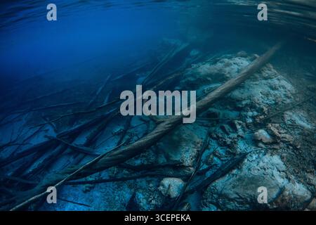 Bûches enfoncées avec des rochers sous l'eau dans un lac bleu profond Banque D'Images