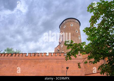 Une vue en bas angle d'une tour ronde en briques et d'une section du mur de fortification en briques rouges du château de Wawel contre un ciel nuageux avec des oiseaux volant. Banque D'Images