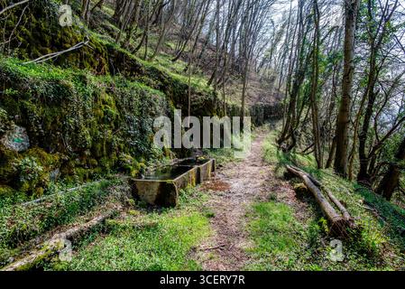 Sentier forestier paisible avec un abreuvoir en pierre moussue à côté d'un mur rocheux, entouré d'arbres et de verdure printanière. Sentier de randonnée tranquille dans un natur Banque D'Images