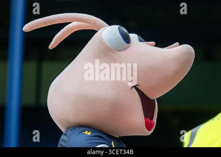 Southend-on-Sea, Angleterre, 16 août 2025 Southend United Mascot Sammy la crevette aux clubs premier match à domicile dans le match de la Ligue nationale Enterprise 2025/26 entre Southend United FC contre Tamworth FC au Roots Hall Stadium, Southend, Essex, Angleterre (Grant Williams/SPP) crédit : SPP Sport Press photo. /Alamy Live News Banque D'Images