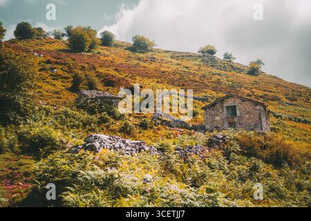 Cabanes en pierre rustiques sur une colline colorée couverte de fougères vertes et de végétation d'automne, avec des arbres dispersés sous un ciel nuageux dans une montagne paisible Banque D'Images