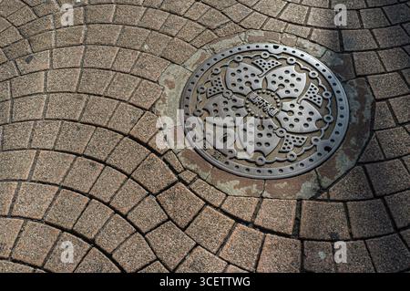 Couvercle décoratif, Takeshita-Dori, Harajuku, Shibuya-ward, Tokyo, Kanto, Honshu, Japan Banque D'Images