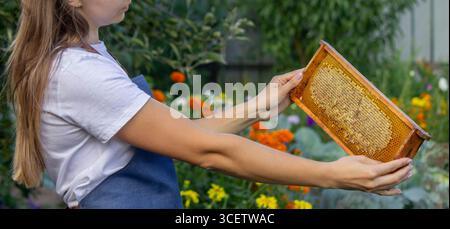 Femme tenant un cadre avec du miel sur un fond de jardin. Mise au point sélective. Banque D'Images