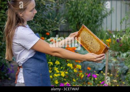 Femme tenant un cadre avec du miel sur un fond de jardin. Mise au point sélective. Banque D'Images