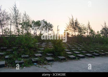Vue tranquille sur le coucher du soleil sur les arbustes verts et les marches en bord de mer le long de la côte de Patenga au Bangladesh Banque D'Images