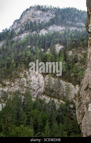 plan vertical d'une pente montagneuse majestueuse couverte d'une forêt dense et verdoyante, avec des parois rocheuses grises et accidentées et un ciel lumineux au-dessus de vous. L'image est capturée Banque D'Images
