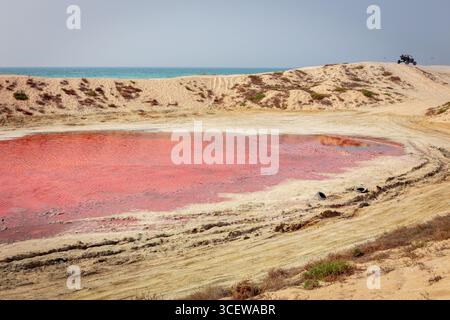 Le lac rose sur l'île de Saraya à Al Rams, Ras Al Khaimah, eau, vue paysage de l'étang rouge avec des dunes de sable autour, sur la côte du golfe Persique. Banque D'Images