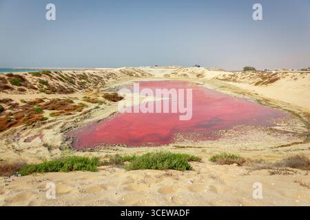 Le lac rose sur l'île de Saraya à Al Rams, Ras Al Khaimah, eau, vue sur le paysage de l'étang rouge en forme de coeur avec des dunes de sable autour. Banque D'Images