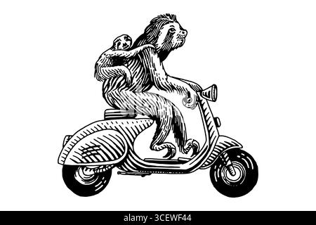 Mignon Sloth avec un bébé sur un scooter vélo, moto. Personnage animal sur véhicule. Concept moderne au look vintage. Gravure dessinée à la main, style gravure sur bois Illustration de Vecteur