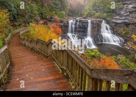 Escalier sur le sentier vers Blackwater Falls en automne, Blackwater Falls State Park, Virginie occidentale Banque D'Images