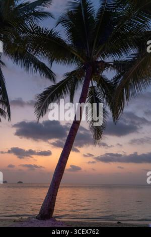 scène de plage tranquille au crépuscule avec de grands palmiers silhouettés contre un coucher de soleil coloré reflétant sur les eaux calmes, créant une atmosphère paisible Banque D'Images
