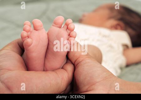 Les pieds minuscules du nouveau-né sont tendrement bercés dans les mains d'un parent symbolisant l'amour, les soins et le lien familial. Ce moment intime capture l'essence de Banque D'Images