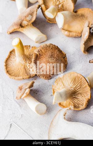 Champignons bruns frais avec tiges et branchies sur une surface rustique légère, champignons non cuits de près. Banque D'Images