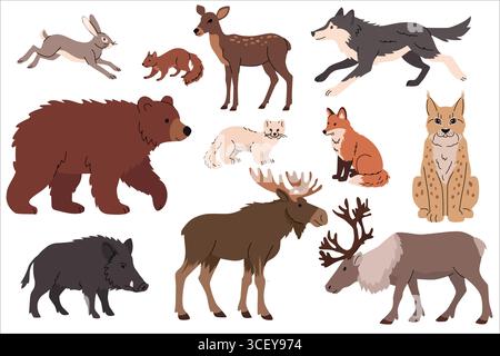 Illustration plate de divers animaux forestiers, y compris ours, orignal, cerf, sanglier, loup, renard, lièvre, lynx, écureuil, selles, et renne. Style plat mignon Illustration de Vecteur