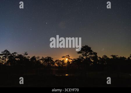 Ciel nocturne magique plein d'étoiles et une lune montante au-dessus d'une forêt de pins silhouettée dans une tourbière estonienne. Banque D'Images