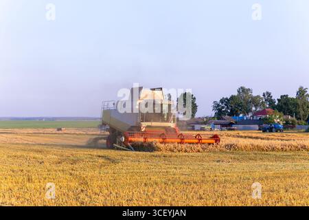 Une moissonneuse-batteuse collecte l'orge mûre dans la lumière chaude du soleil couchant près d'une ferme, mettant en valeur la technologie agricole moderne pendant les récoltes Banque D'Images