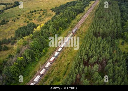 Un train de marchandises traverse la forêt Banque D'Images