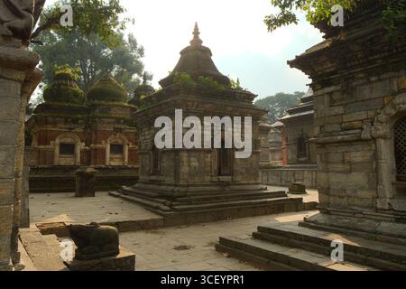 Anciens sanctuaires en pierre au complexe du temple Pashupatinath à Katmandou, Népal Banque D'Images