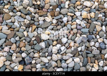 Galets naturels de rivière dans des couleurs assorties. Pierres de rivière lisses colorées couvrant le sol, idéal pour les arrière-plans, les thèmes d'aménagement paysager, ou la nature et Banque D'Images