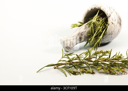 Brins d'herbes de romarin frais avec des fleurs se renversant d'un mortier de marbre et pilon, prêts pour le broyage et la cuisson Banque D'Images