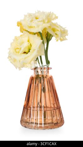 Belles fleurs d'eustoma dans un vase en verre isolé sur blanc Banque D'Images