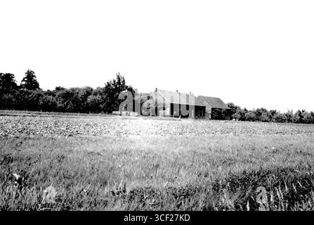 Photographie datant de 1942 environ montrant la vue arrière de la ferme de Tichelarij à Venlo. Cette image historique reflète l'architecture rurale et le mode de vie dans la région au cours des années 1940 Banque D'Images