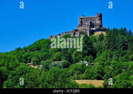 France, Puy-de-Dôme, Parc naturel régional des volcans d'Auvergne, massif des Monts Dore, Château de Murol Banque D'Images