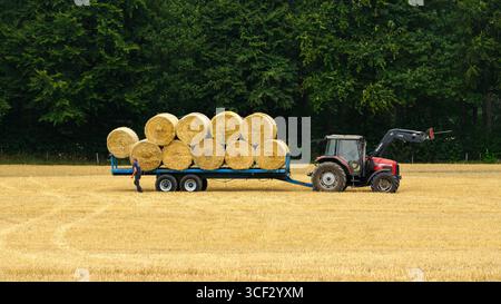 Tracteur et chargeur frontal stationnés dans le champ (vue latérale) et travail masculin (balles de paille ramassées chargées après récolte) - Farnley, North Yorkshire, Angleterre Royaume-Uni. Banque D'Images