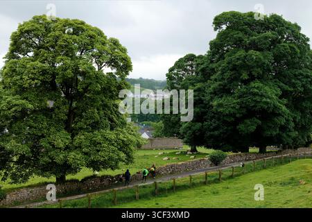 Sentier entre Cashel Castle et Hore Abbey, Cashel, province de Leinster, comté de Tipperary, Irlande Banque D'Images