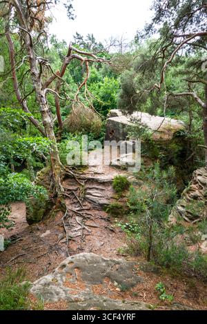 Monument naturel de Katzensteine, Rhénanie du Nord-Westphalie, Allemagne, Mechernich Banque D'Images