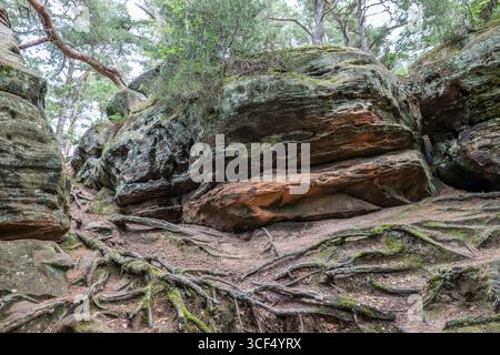Monument naturel de Katzensteine, Rhénanie du Nord-Westphalie, Allemagne, Mechernich Banque D'Images