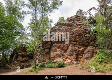 Monument naturel de Katzensteine, Rhénanie du Nord-Westphalie, Allemagne, Mechernich Banque D'Images
