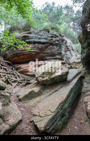 Monument naturel de Katzensteine, Rhénanie du Nord-Westphalie, Allemagne, Mechernich Banque D'Images