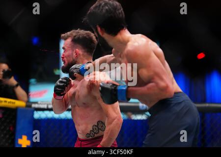 19 août 2025, Las Vegas, NV, Las Vegas, NV, États-Unis : Manuel Exposito et Jose Delano se rencontrent dans l'octogone pour un combat de 3 tours à l'UFC Apex pour l'EP UFC - DWCS - Dana White Contender Series. 2 le 19 août 2025 à Las Vegas, NV, États-Unis. (Photo de Louis Grasse/PxImages) (crédit image : © Louis Grasse/PX Imagens via ZUMA Press Wire) USAGE ÉDITORIAL SEULEMENT ! Non destiné à UN USAGE commercial ! Banque D'Images
