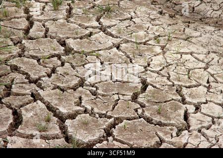 Lit de ruisseau séché Banque D'Images