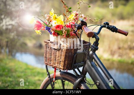 Fleurs de printemps colorées dans un panier à vélo. Fleurs fraîches de saison dans un panier en osier devant un paysage printanier avec bokeh ensoleillé. Shopping au marché à vélo. Contexte pour la mobilité et l'environnement. Banque D'Images