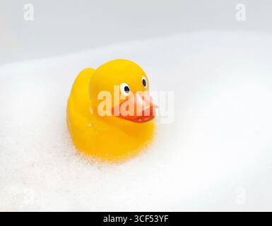 Mignon canard en caoutchouc mousse flottant dans l'espace isolé avec l'exemplaire Banque D'Images