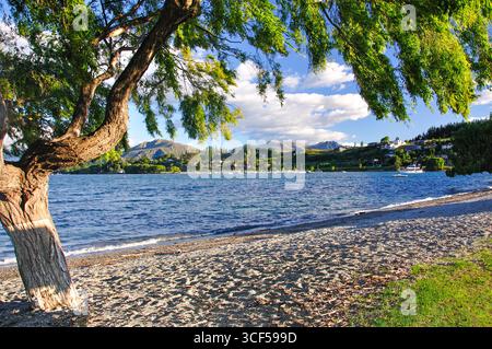 Tôt le matin sur le lac de Wanaka, Wanaka, Région de l'Otago, île du Sud, Nouvelle-Zélande Banque D'Images