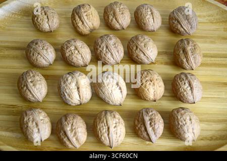 Noix alignées en rangées sur fond de bois. Vue de dessus. Mise au point sélective Banque D'Images