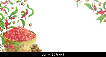Panier de fruits en osier avec café éthiopien cerises mûres et branches baies. Haricots grillés Arabica. Illustration isolée à l'aquarelle pour des culinaires Banque D'Images