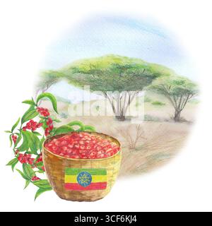 Panier de fruits en osier avec café éthiopien cerises mûres et branches baies. Drapeau national et ornement traditionnel et paysage aquarelle isolé Banque D'Images