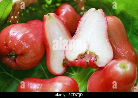 Gros plan sur la chair juteuse blanche appétissante de fruits de pomme rose aqueux Banque D'Images