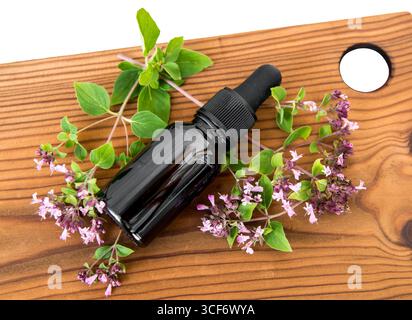Vue plate de teinture médicinale à base de plantes maison faite d'origan, Origanum vulgare. Fleurs de plantes fraîches à côté de la bouteille en verre brun, planche de bois. Banque D'Images