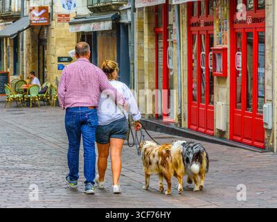 Couple avec deux chiens marchant dans le vieux quartier de Tours, Indre-et-Loire (37), France. Banque D'Images