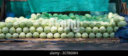 Pastèques au marché étal, fruits tropicaux frais à vendre, énorme tas de melon Citrullus lanatus biologique mûr, Agriculture et agriculture, produits alimentaires Banque D'Images