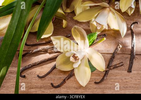 Fleurs d'orchidée jaune de papillon, feuilles vertes et bâtons de vanille sur une table en bois. Banque D'Images
